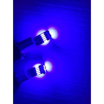 15 LEDLİ T10 MAVİ
