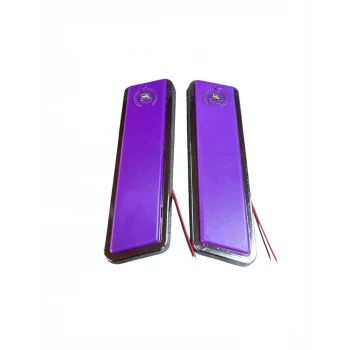 EKT CADİLLAC GAZETELİK DİREK LAMBA MOR