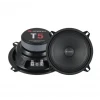 EDİSON ED-T5 80 RMS 13 CM MİDRANGE
