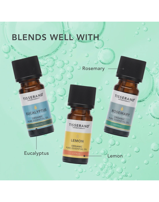 Tisserand Çay Ağacı Uçucu Yağı - Organik