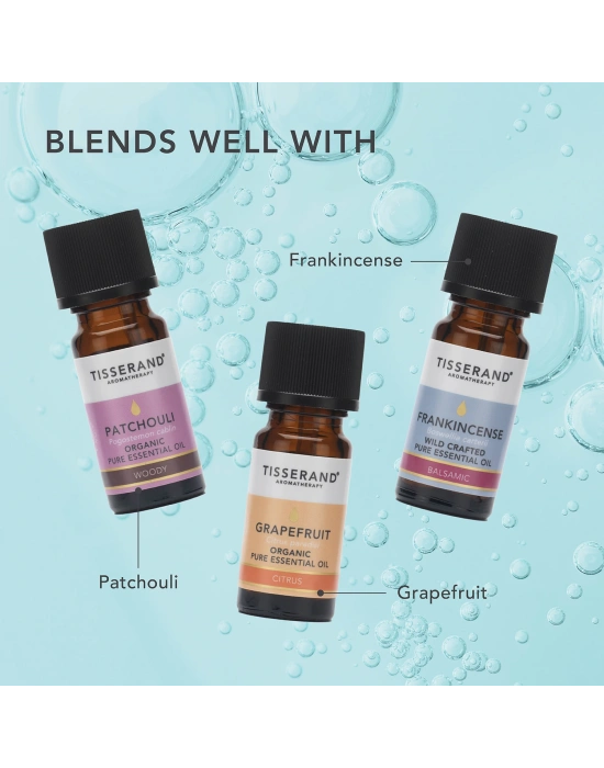 Tisserand Mür Uçucu Yağı