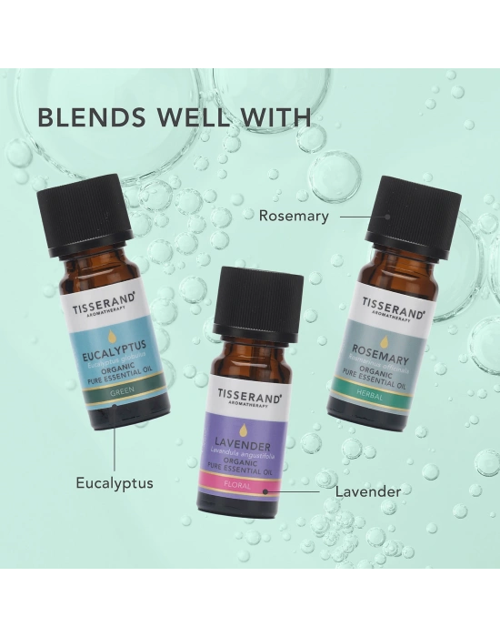 Tisserand Nane Uçucu Yağı - İngiliz