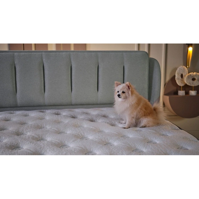 Bellona Premium Line Yatak Alez Hediyeli