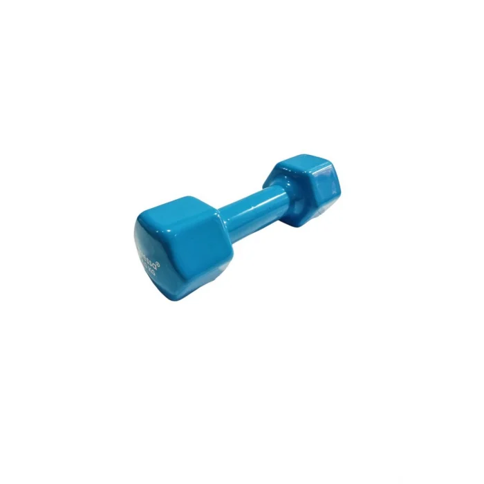 Avessa 4 Kg Vinly Kaplama PVC Mavi Dambıl