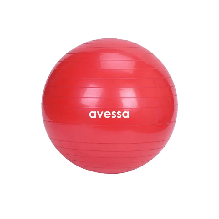 Avessa 55 Cm Pilates Topu Poşet Ambalaj BPT-55 Kırmızı