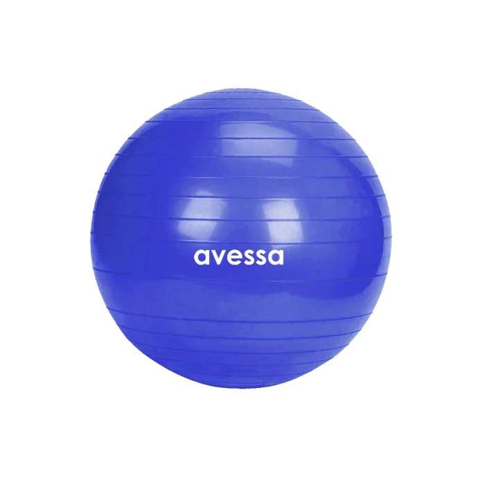 Avessa 55 Cm Pilates Topu Poşet Ambalaj BPT-55 Mavi