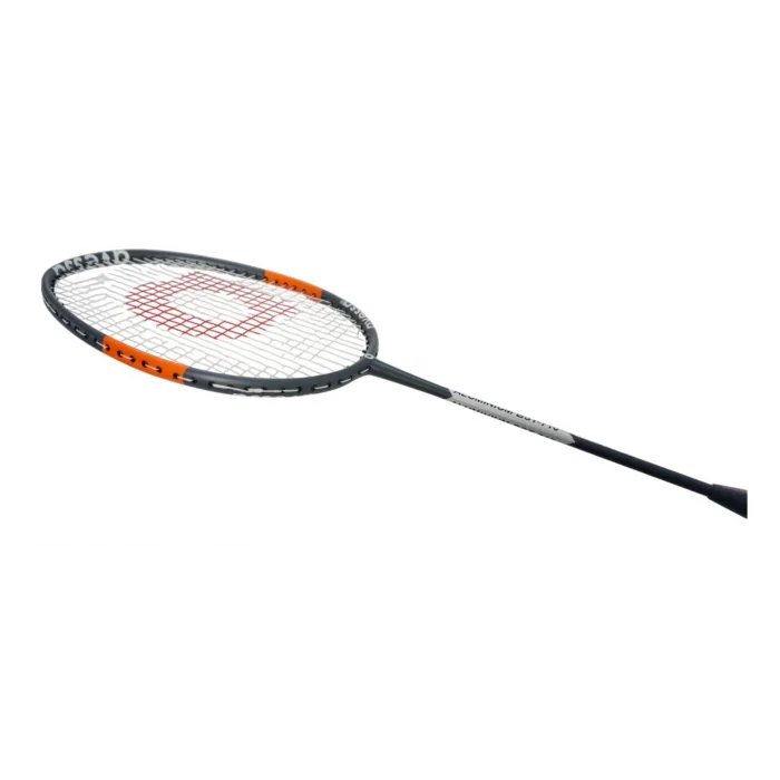 Avessa Bst-710 Badmington Raket Seti Gri