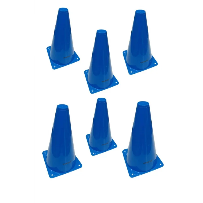 Avessa Hn-23 Küçük Huni 23 cm Mavi 6lı