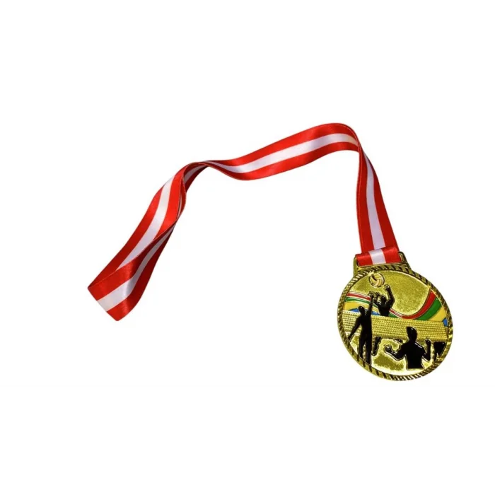 Avessa Mad-Vol-2 Voleybol Figürlü Madalya 6,5 Cm