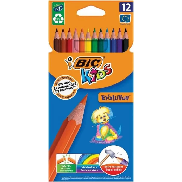 Bic Evolution Kuru Boya 12 Renk Karton Kutu (82902914)