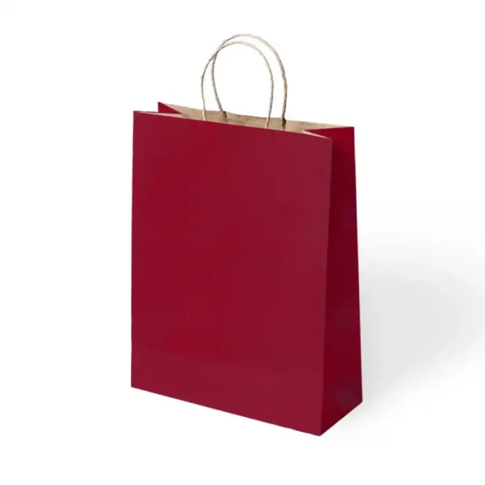 Büküm Saplı Kraft Çanta 25x31 cm 5li