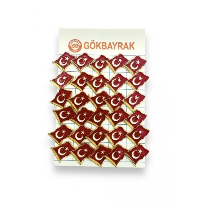 Büyük Dalgalı Bayrak Rozeti
