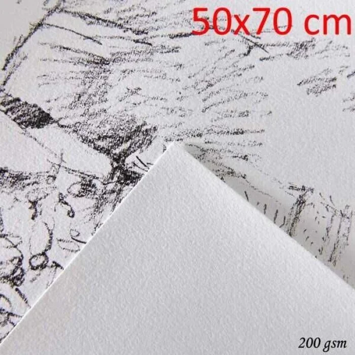 Canson 1557 Resim Çizim Kağıdı 200 gr. 50x70 cm. 10lu Paket