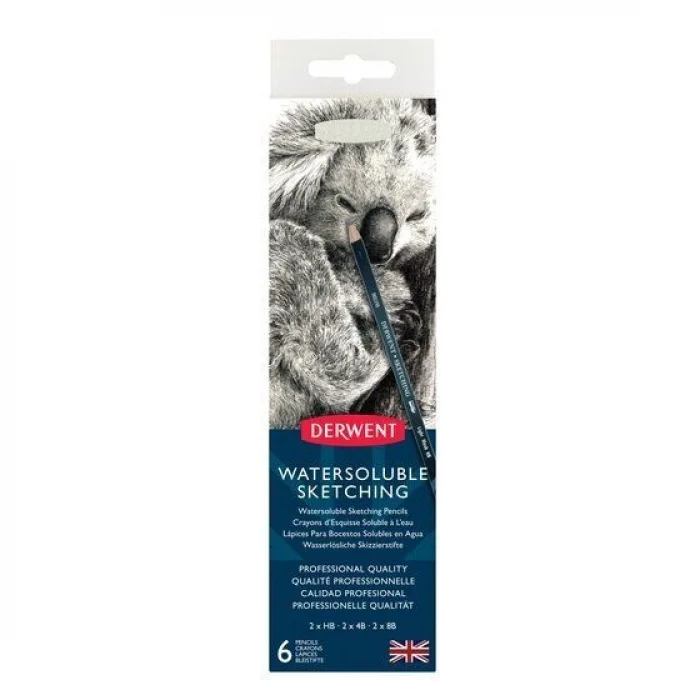 Derwent Watersoluable Sketching Pencils Suda Çözünebilen Çizim Kalemi Seti 6lı Teneke Kutu