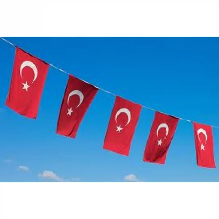 Dikdörtgen Kumaş Bayrak  ( 22 m)