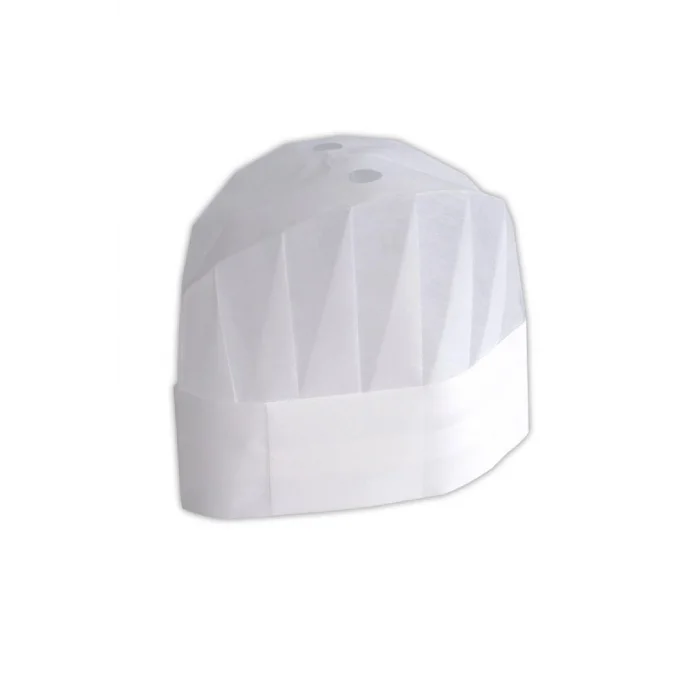 Dolphin Aşçı Kepi 10 Adet