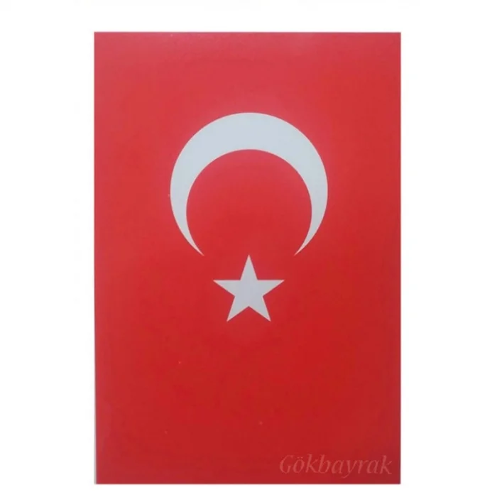 Laser Sticker Bayrak 25x35 cm
