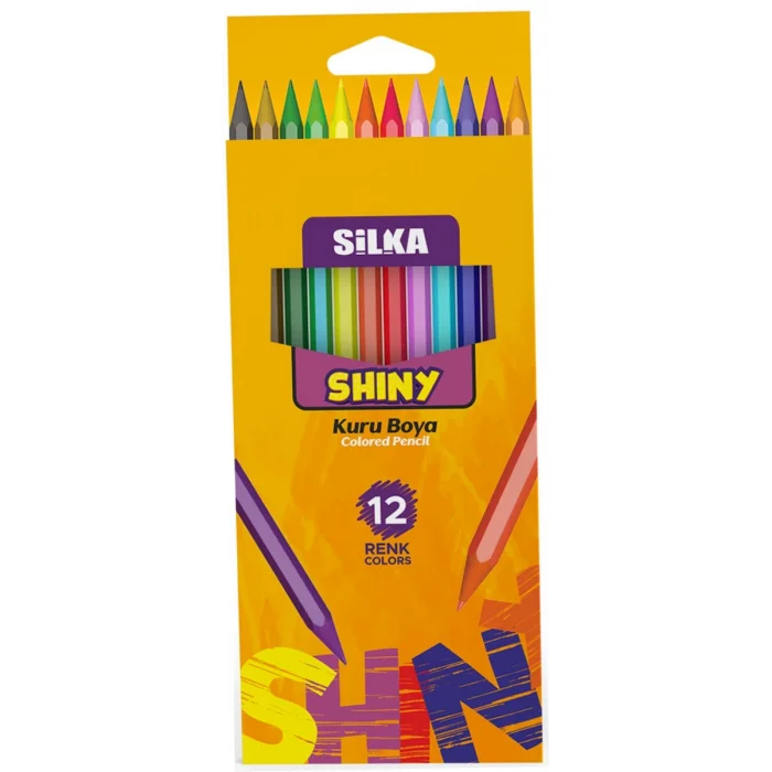 Silka Shiny Kuru Boya 12 Renk