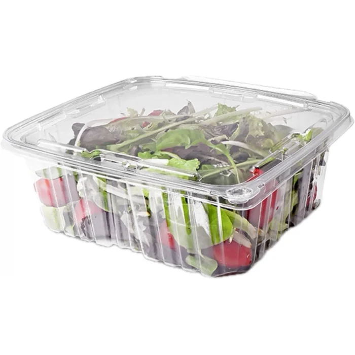 Sızdırmaz Kendinden Kapaklı Plastik Kap 750 gr (100lü)