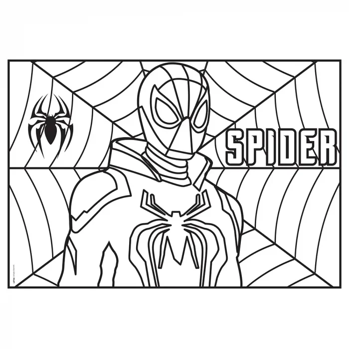 Spider Boyama Aktiviteli Parti Sunumu