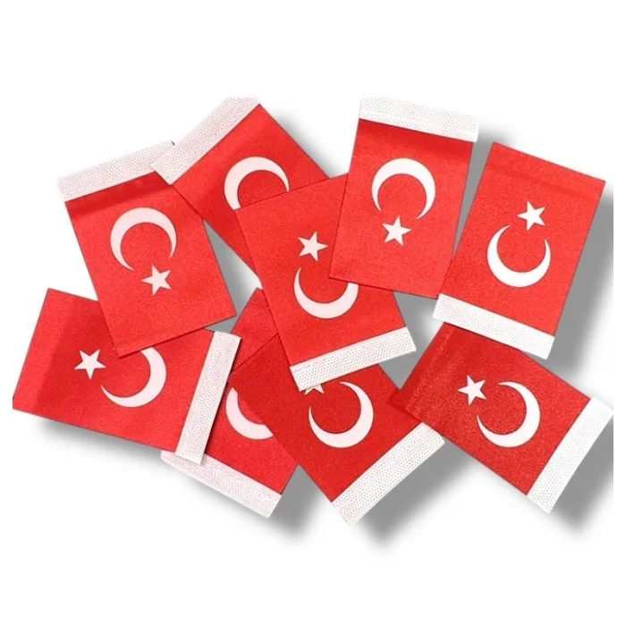 Türk bayrağı-Saten (Baskı) 6x9 cm