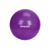 Avessa 55 Cm Pilates Topu Poşet Ambalaj BPT-55 Mor