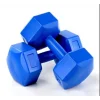 Avessa 6 Kg Plastik Dambıl Çift