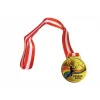 Avessa Mad-Bas-2 Basketbol Figürlü Madalya 6.5 Cm