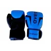 Avessa Ring-310 Boks Eldiveni 10 Oz Mavi
