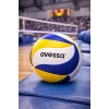 Avessa Yapıştırmalı Voleybol Topu Vlb-6000