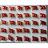 Bayrak Rozet Dalgalı