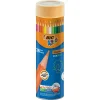 Bic Kids Evolution Kuru Boya Kalemi 36 Renk Metal Tüp