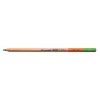 Bruynzeel Design Colour Pencils Kuru Boya Kalemi 60 Light Green