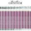 Cretacolor Fine Art Graphite Dereceli Kalem Karakalem Eskiz Çizim Seti Metal Kutu 24lü