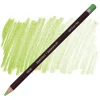 Derwent Coloursoft Pencil Yumuşak Kuruboya Kalemi C440 Light Green