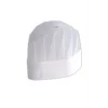 Dolphin Aşçı Kepi 10 Adet