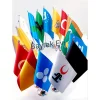 Eski Türk Devletleri Bayrak Seti (17li )