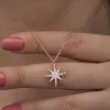 Gümüş Rose Kutup Yıldızı Kadın Kolye