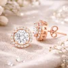 Gümüş Rose Oval Montür Pırlanta Modeli Küpe