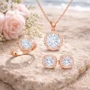 Gümüş Rose Yuvarlak Montür Tek Taş Set