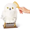 Harry Potter Büyüleyici Hedwig