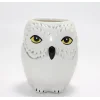 Harry Potter Hedwig Tasarım Porselen Kupa Bardak Alk4494