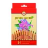 Koh-i Noor Jumbo Naturel Kalın Kuru Boya Kalemi Seti 24 Renk