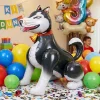 Köpek Şekilli 4D Folyo Balon