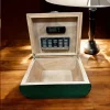 Lubinski İtaly Oval Humidor Puro Kutusu Lizard Yeşil 60s