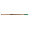 Lyra Rembrandt Polycolor Kuru Boya Kalemi HOOKERS GREEN
