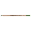 Lyra Rembrandt Polycolor Kuru Boya Kalemi OLIVE GREEN