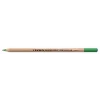 Lyra Rembrandt Polycolor Kuru Boya Kalemi SAP GREEN