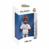 Minix Vincius