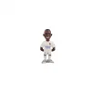 Minix Vincius